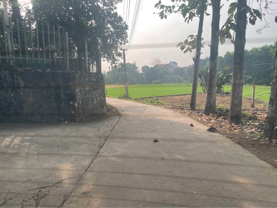 Đất nền Trung Môn, Yên Sơn 600m² chỉ 2 tỷ - Tiềm năng tăng giá!