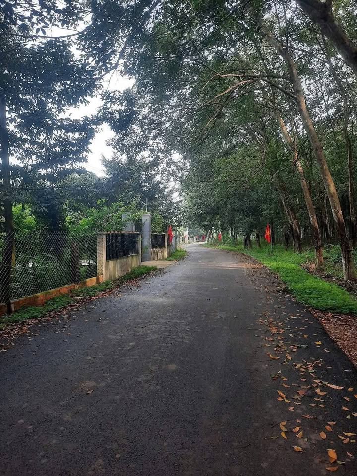 Nhà Phố An Bình, Phú Giáo 400m² - Đầu tư sinh lời 1.55 tỷ!