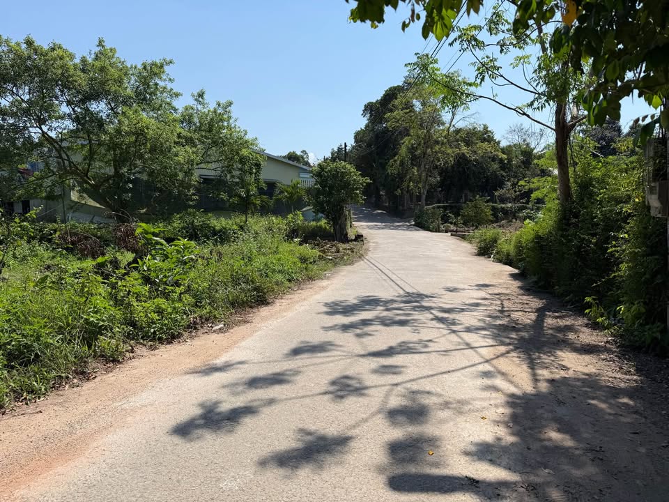 Đất Mặt Tiền Thích Tịnh Khiết, Huế - 100m² Giá 2.5 Tỷ, Vị Trí Đắc Địa