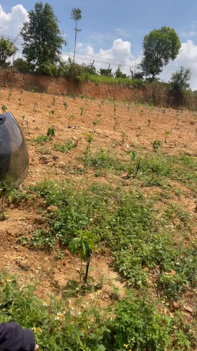 Đất nền Đắk N'Drót 3000m² giá 950 triệu - Tiềm năng tăng giá!