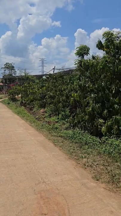 Đất Nền Nam Xuân Krông Nô 350m² giá 600 triệu - Giá đầu tư tốt!