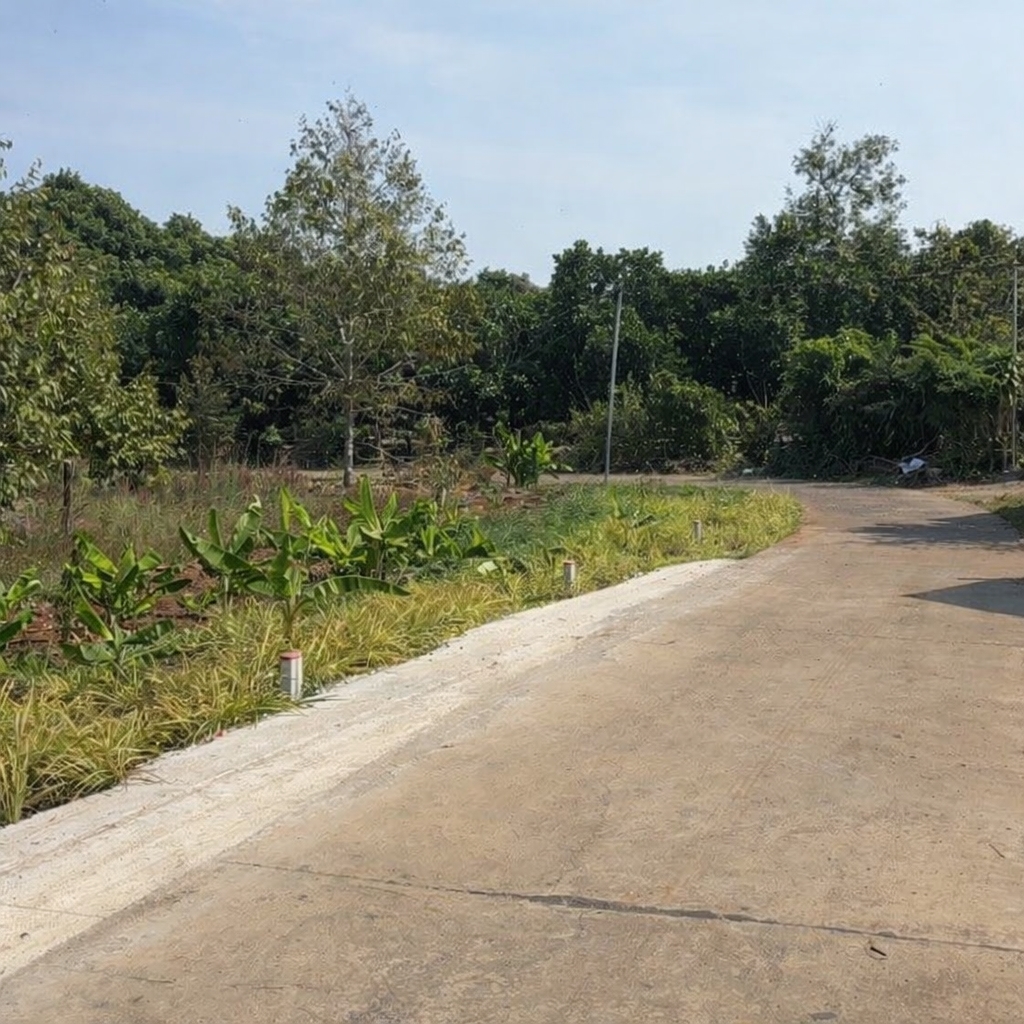 Đất nền Bình Lộc 288m² - Sổ đỏ chính chủ, giá chỉ 999 triệu!