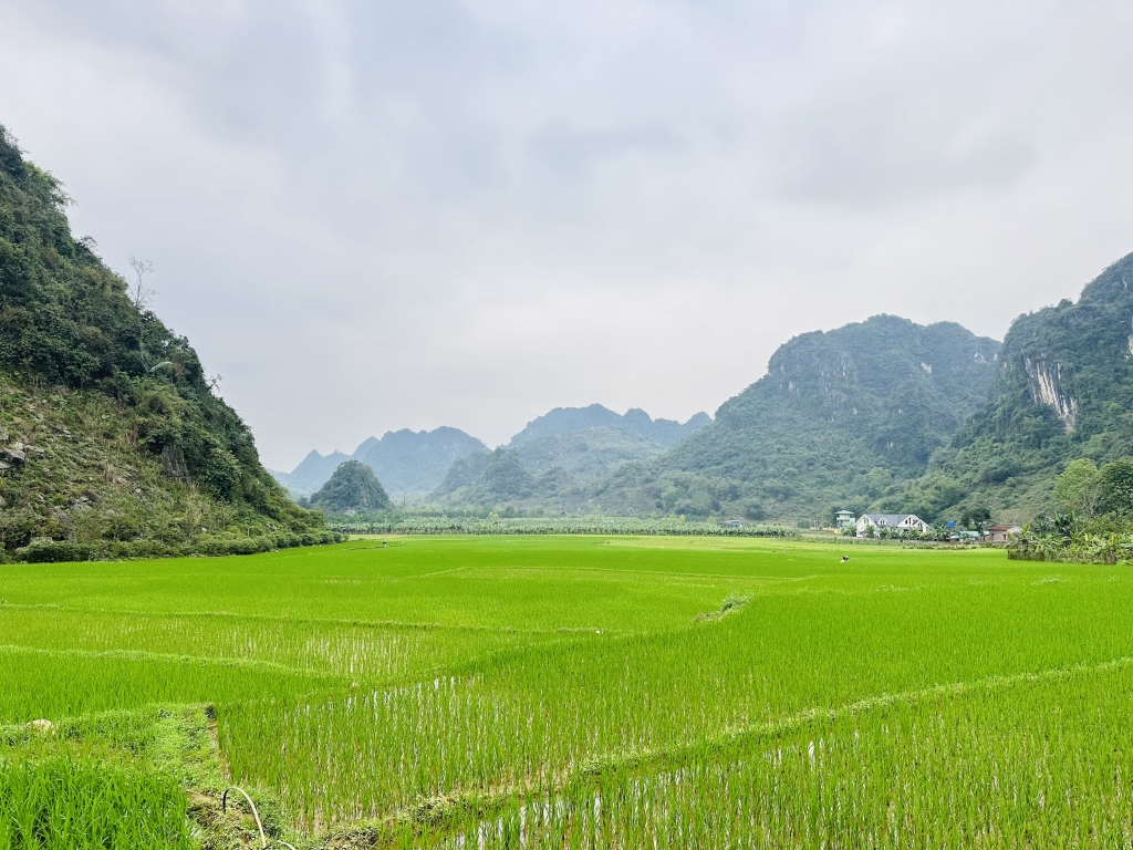 Đất nền Long Sơn 1078m² - Sổ đỏ chính chủ, view triệu đô