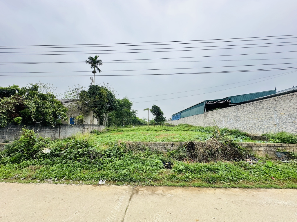 Đất Vườn 1100m² Lương Sơn, Hòa Bình - Sổ Đỏ Sẵn Sàng, Đường Ô Tô Tránh