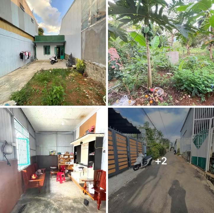 Bán Gấp Nhà Cấp 4 Trần Quốc Toản, Bảo Lộc - 125m² Thổ Cư, Giá 1.79 Tỷ