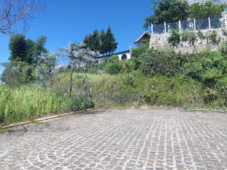 Đất biệt thự Dalat Green 570m² 18 tỷ - Sổ đỏ