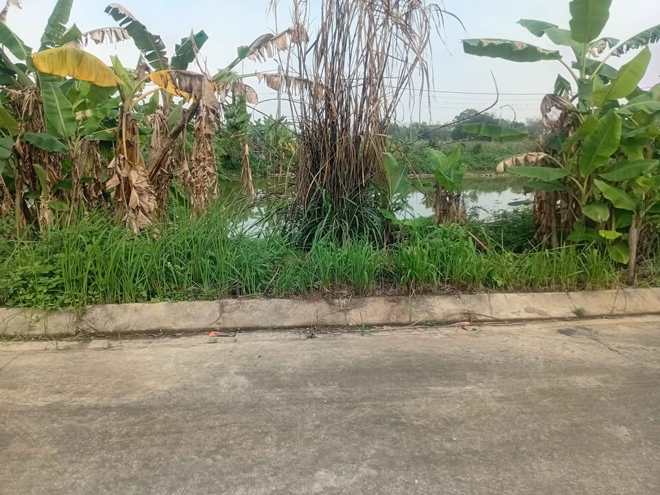 Đất nền Hoa Lư, Ninh Bình 85m² - Hạ tầng hoàn thiện, sẵn sàng xây dựng!