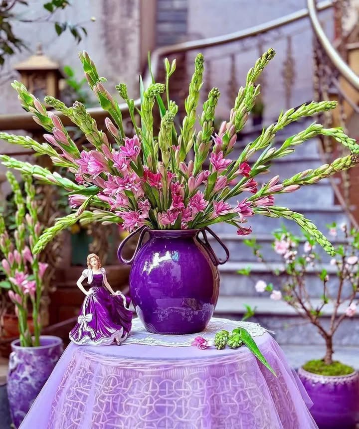 Căn hộ Tuệ Tĩnh Bình Hàn 46m² 1.3 tỷ - View đẹp