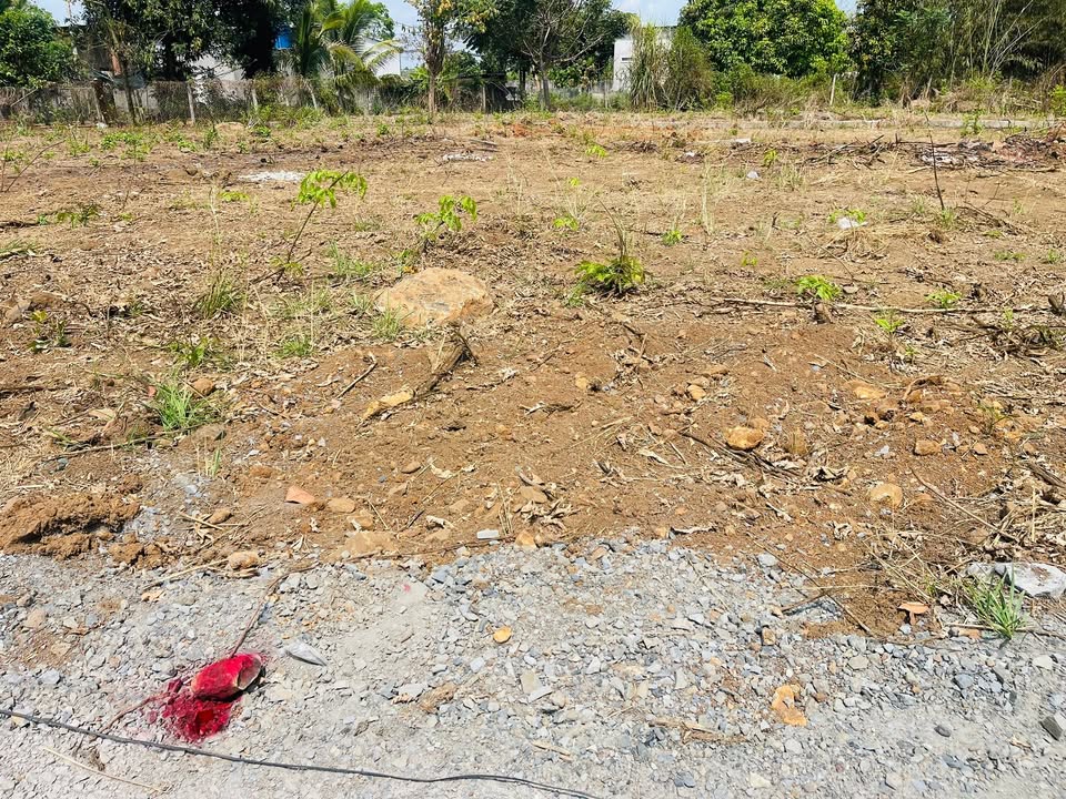 Đất nền Ngọc Định, Long Khánh 150m² - Sổ đỏ chính chủ!