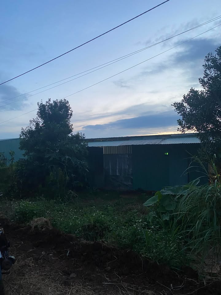 Đất Lô Góc 2 Mặt Tiền Ia Blang, Chư Sê - 2000m² Sổ Hồng