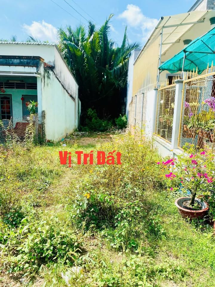 Đất Vàng Đường Hồ Tấn Minh, Đồng Tháp - 133m² Thổ Cư, Giá 620 Triệu