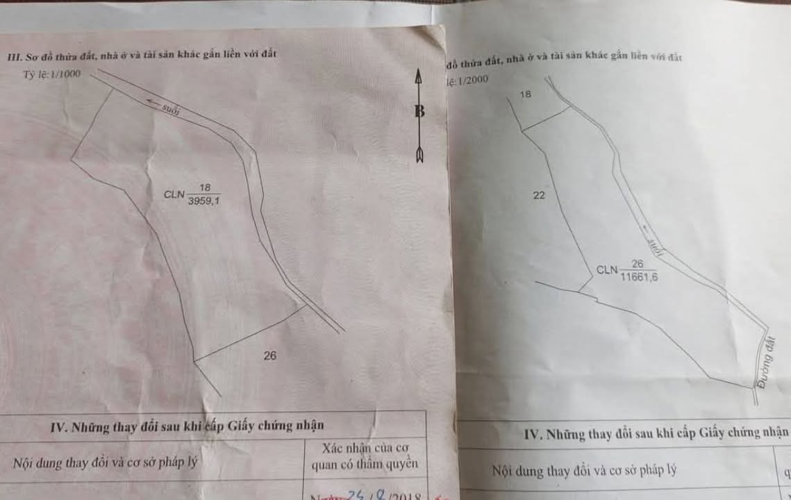 Đất Đắk Nia 1.6ha, Gia Nghĩa - Sổ hồng sẵn, đường ô tô tới đất!