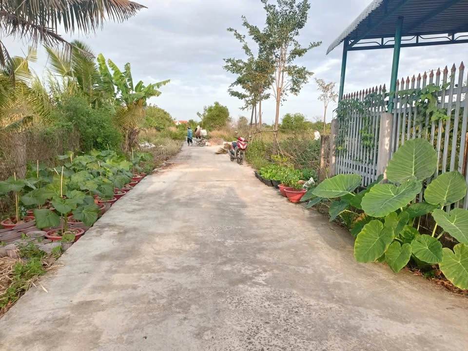 Đất Ngô Đức Tốn Phan Thiết 568m² 1.4 tỷ - Sổ hồng chính chủ