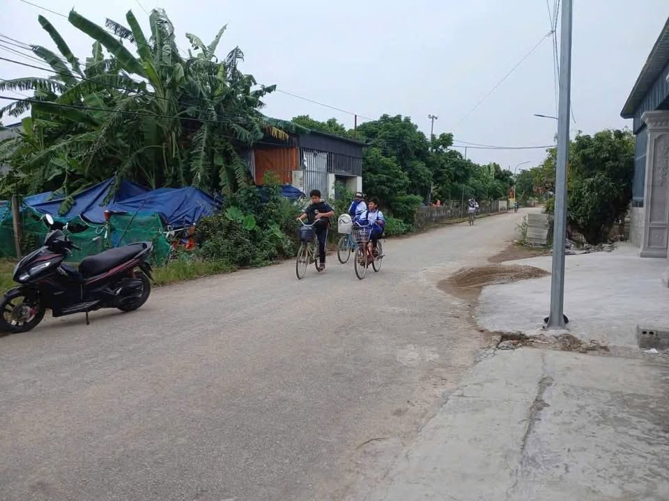 Lô đất Bát Trang, An Lão 138m² - Tiềm năng tăng giá vượt trội!