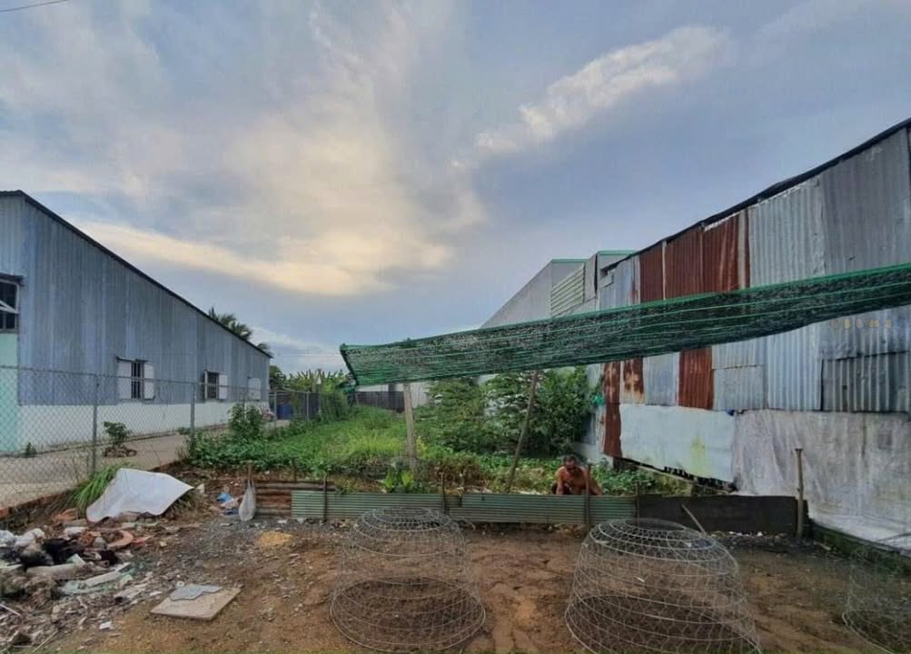 Đất Nền Sổ Hồng Riêng 369m² Mỹ Yên, Bình Chánh - Giá 1.5 Tỷ