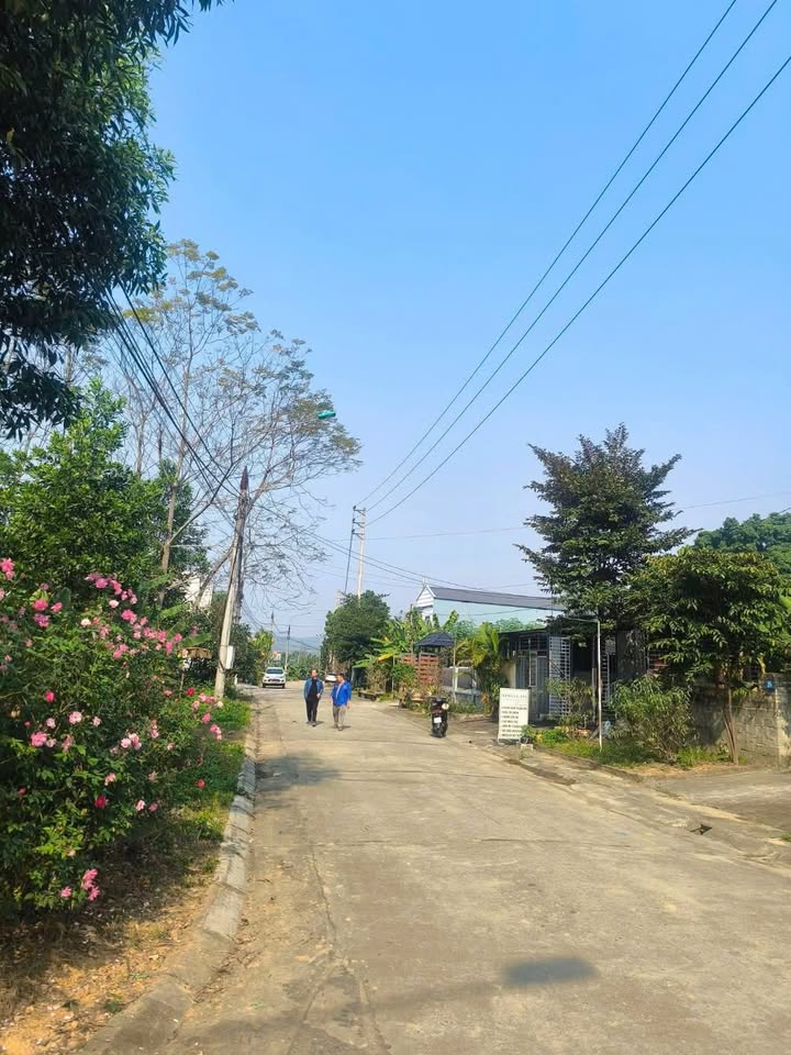 Bán Đất Tuyên Quang 100m² Thổ Cư - Sổ Đỏ Sẵn Sàng, Đường Ô Tô