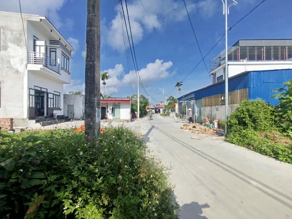 Đất nền 100m² Tây Hưng, Tiên Lãng - Sổ đỏ chính chủ, gần chợ!