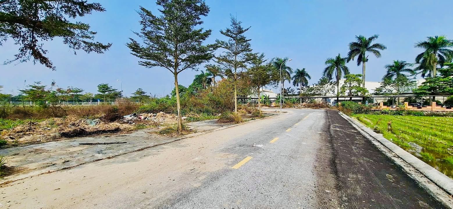 Đất nền Từ Sơn Garden City 100m² - Lô đẹp, giá F0 Vườn Hồng