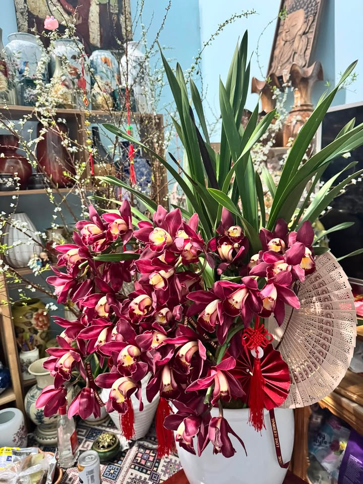 Đất Nền Mộc Châu 1350m² - Sổ Thổ Cư, Tiềm Năng Nghỉ Dưỡng & Kinh Doanh