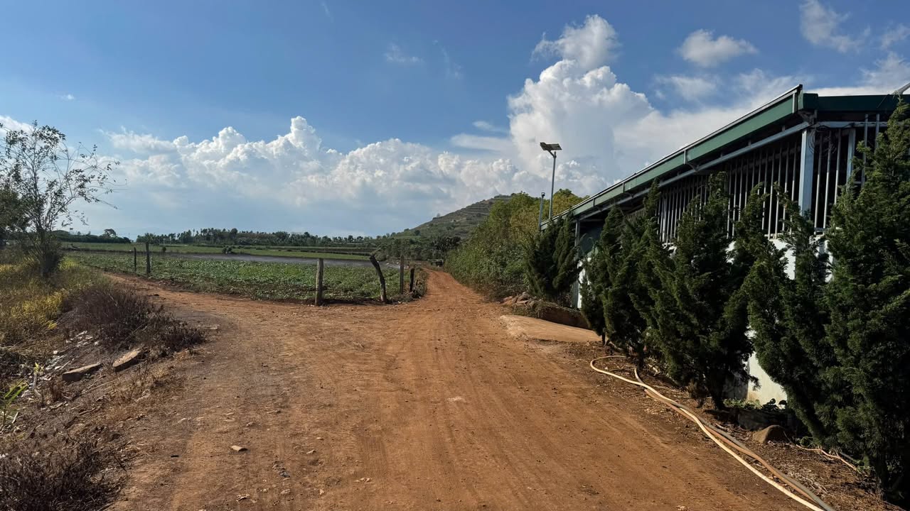 Đất Vườn Đức Trọng 2952m² - Hơn 4 Tỷ, Mặt Tiền Đường Oto