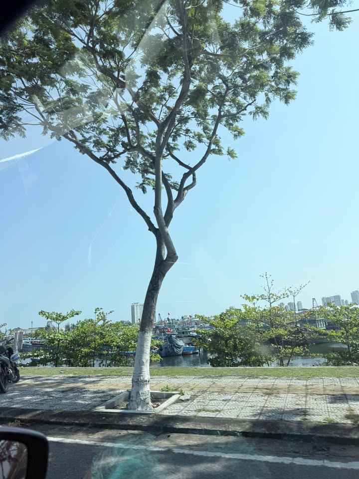 Đất nền Hòa Vang Đà Nẵng hơn 2000m² - Sổ đỏ chính chủ, chỉ hơn 2 tỷ!