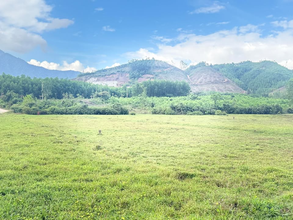 Đất nền Hòa Vang Đà Nẵng 1200m² giá 4 tỷ - Sổ đỏ chính chủ!