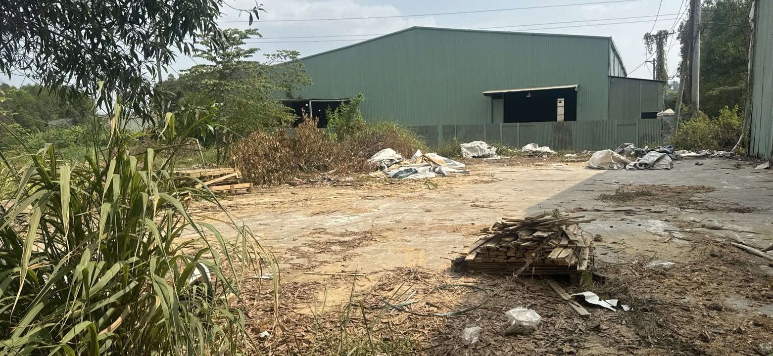 Đất Vàng 2338m² Hố Nai 3, Trảng Bom - Sẵn Sàng Xây Dựng SKC, Giá 8 Tỷ