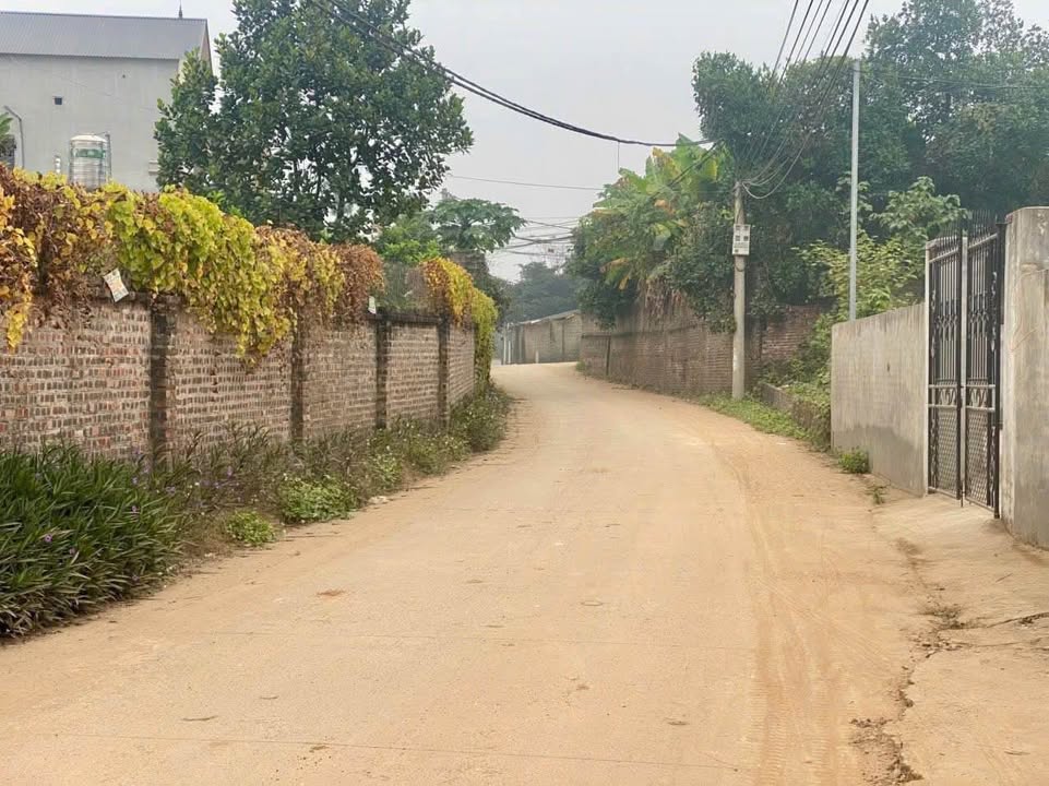 Bán Đất Mê Linh 362m² Mặt Tiền 14.7m - Giá F0 Chỉ 2.17 Tỷ