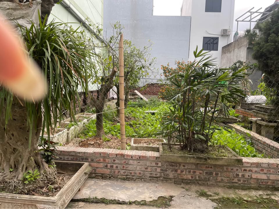 Đất Vàng Mê Linh 79m² - Sổ Đỏ Vuông Vắn, Giá Đầu Tư Hấp Dẫn