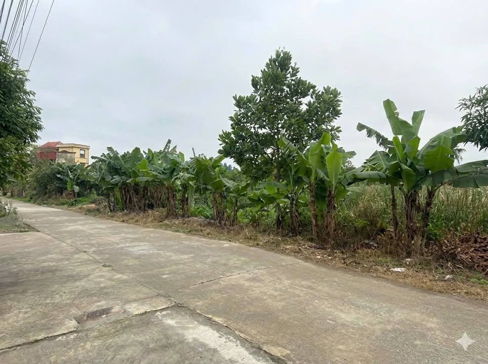 Đất nền Đông Hoàng, Đông Hưng 120m² - Sổ đỏ chính chủ, tiềm năng tăng giá!