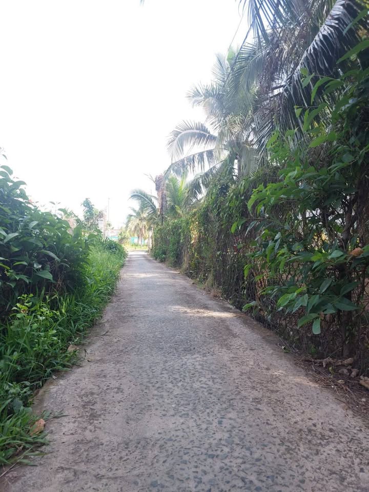 Đất nền Bình Phú, Giồng Trôm 123m² giá 530 triệu - Sổ đỏ chính chủ!