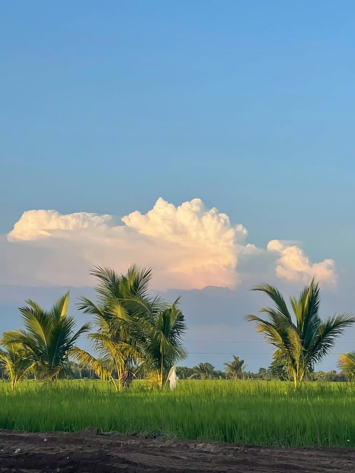 Đất Vườn Đồng Nai 1000m² - View Nghỉ Dưỡng 400 Triệu - Sổ Sẵn