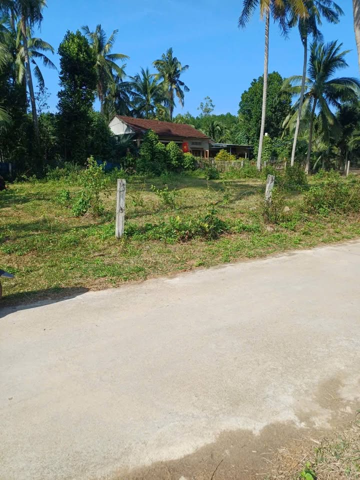 Bán Đất Nền Liền Kề 95m² Phường Bồng Sơn, Hoài Nhơn - Giá 5xx Triệu