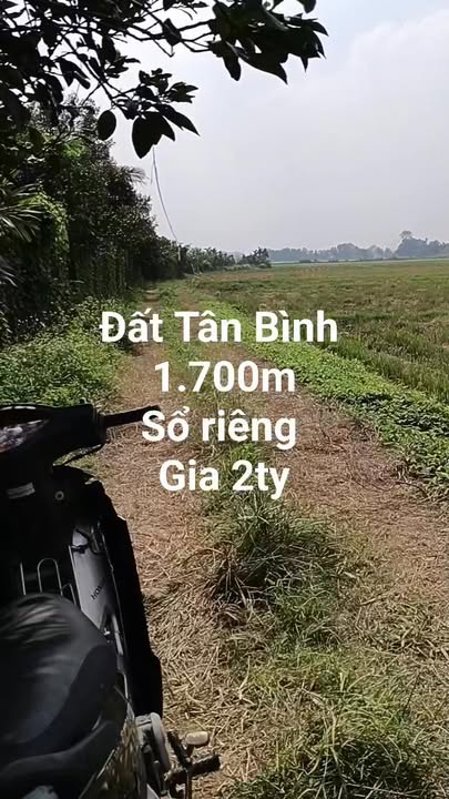 Đất Vĩnh Cửu 1700m² Sổ Riêng - Giá Tốt Đầu Tư Sinh Lời