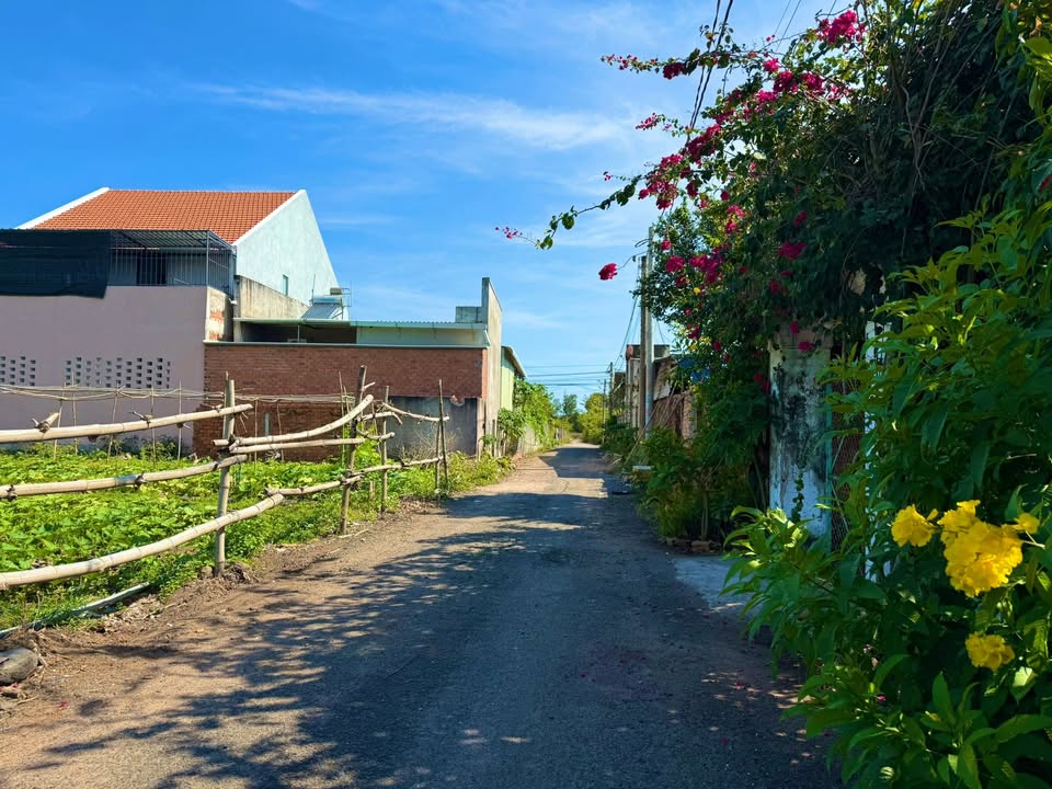 Đất nền Xuyên Mộc 184m² giá 1.3 tỷ - Sổ đỏ chính chủ!