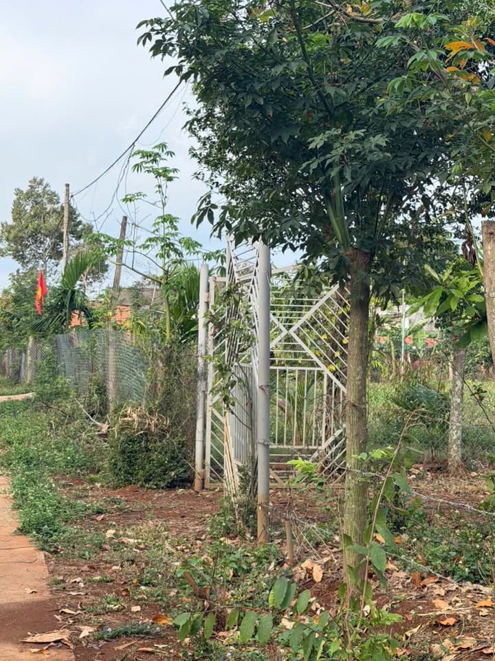 Đất nền Ea BHốk 315m² - Sổ đỏ chính chủ, tiềm năng tăng giá!