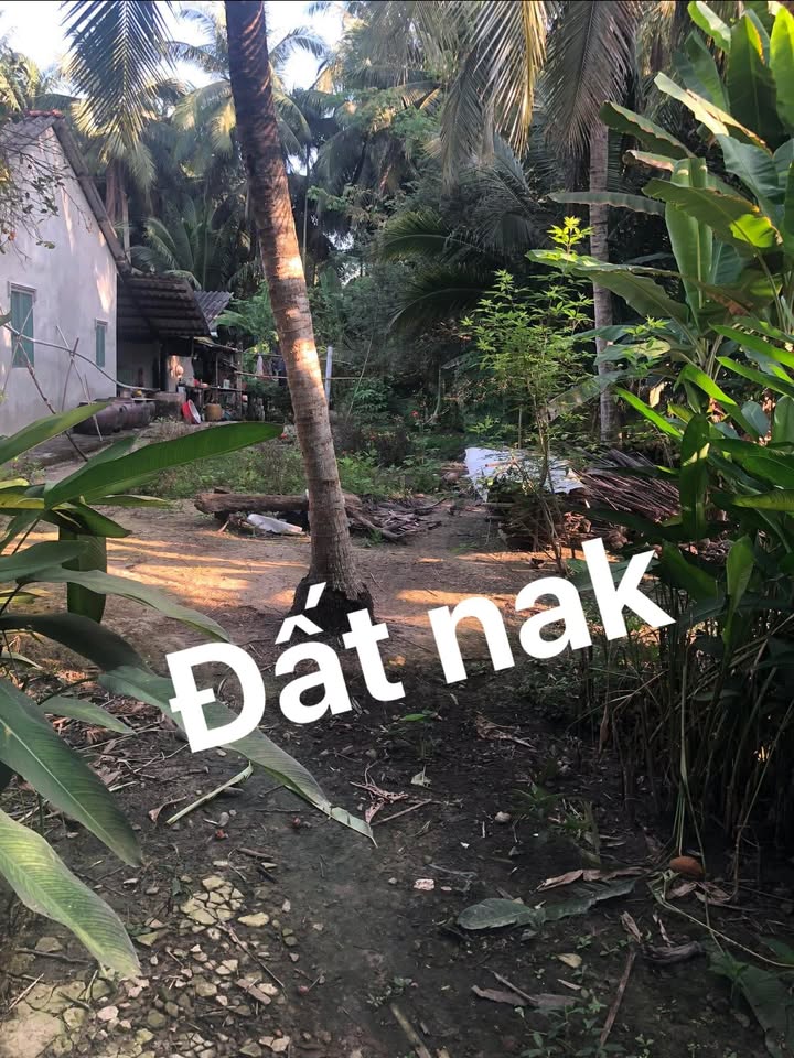 Đất nền Xuân Đông, Chợ Gạo 100m² giá 285 triệu - Đất thổ cư 100%