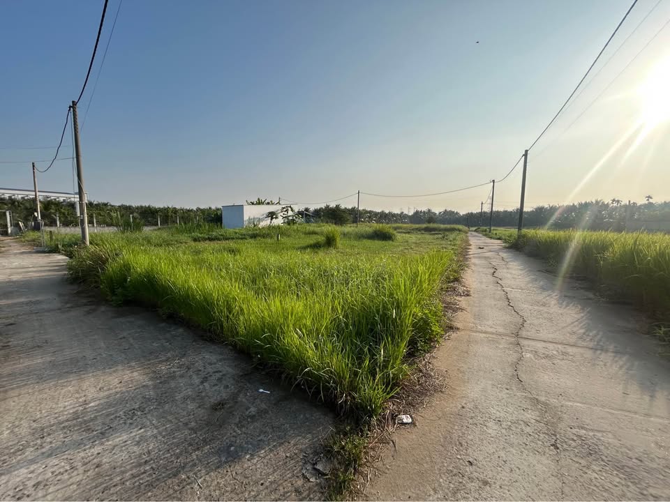 Đất nền Châu Thành 130m² - Sổ đỏ chính chủ, Hạ tầng hoàn thiện!