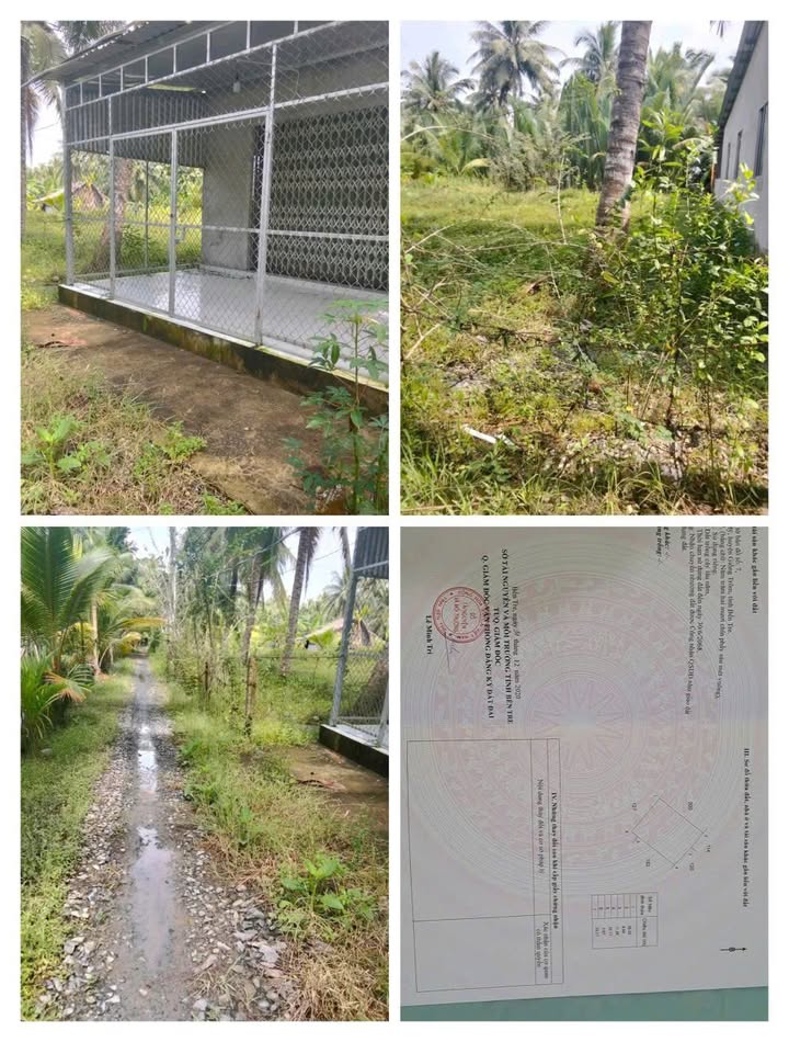 Bán đất nền 600m² Xã Long Mỹ, Giồng Trôm, Bến Tre - Giá 520 triệu