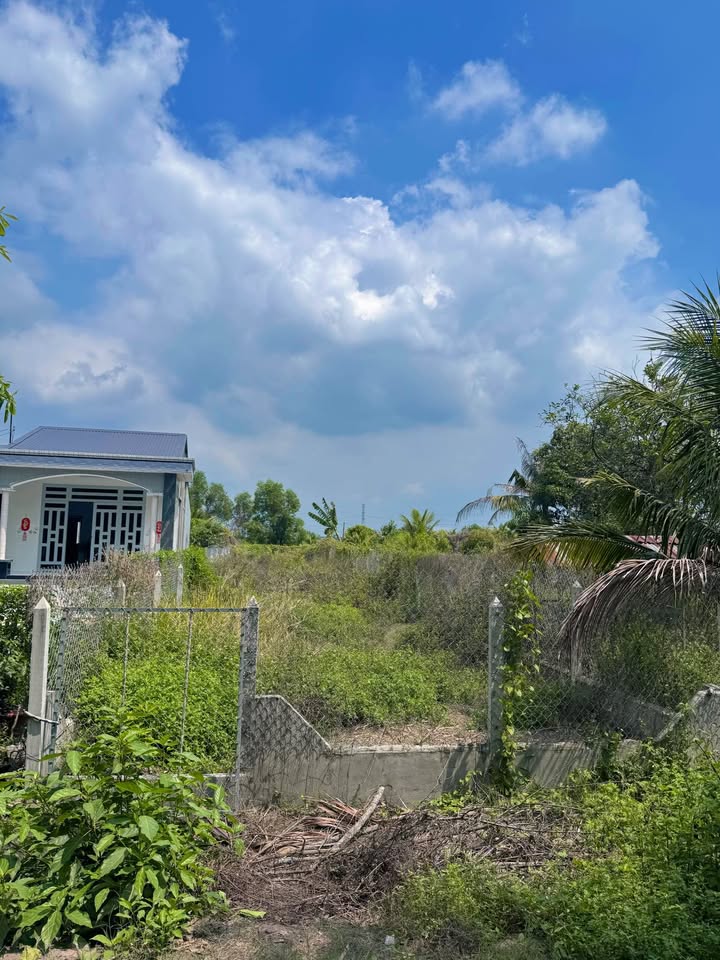 Bán Gấp Đất Lộc Hưng Trảng Bàng 364m² - Giá Ngộp 520 Triệu