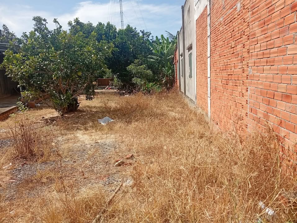 Nhà riêng Bến Cừ Tây Ninh 600m² - Chính chủ bán, sổ đỏ trao tay!