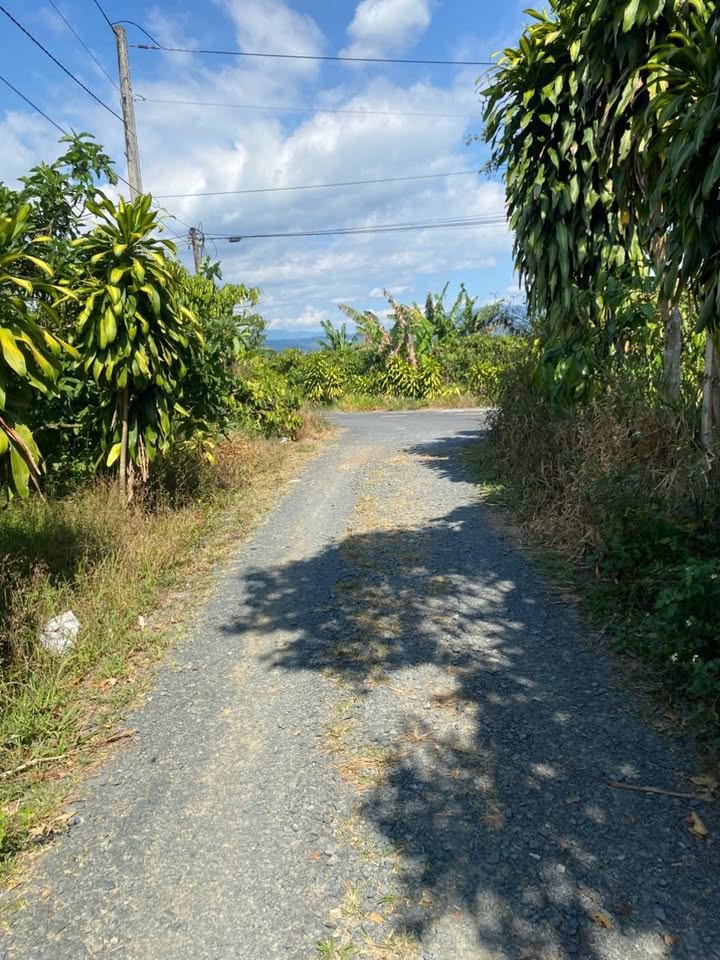 Đất nền Hoa Bắc, Bảo Lộc 63000m² - Tiềm năng tăng giá vượt trội!