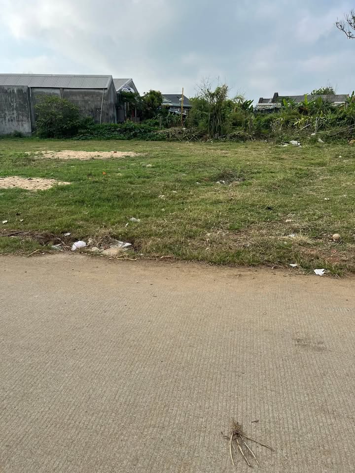 Đất thổ cư 100m² biển An Cường, Lý Sơn - Sổ hồng sẵn, chỉ 100m ra biển