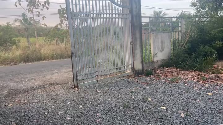 Farm 1.2ha Đắk Lắk - 2 Mặt Tiền, Vườn Sầu Riêng & Cafe 2 Năm Tuổi - 6 Tỷ