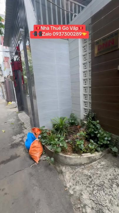 Nhà Hẻm Xe Hơi Gò Vấp 126m² 15 Triệu/Tháng - Ô tô Vào Tận Nhà!