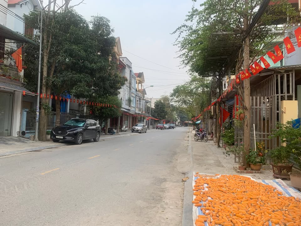 Đất nền Đường Quang Trung TP Lào Cai 135m² - Vị trí vàng trung tâm hành chính!