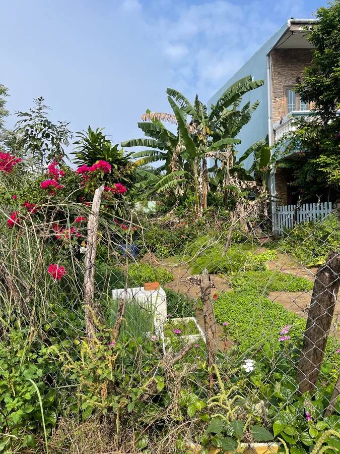 Đất nền 2 mặt tiền Phạm Vấn - Sơn Trà, Đà Nẵng - 118.8m² - Sổ đỏ sẵn sàng