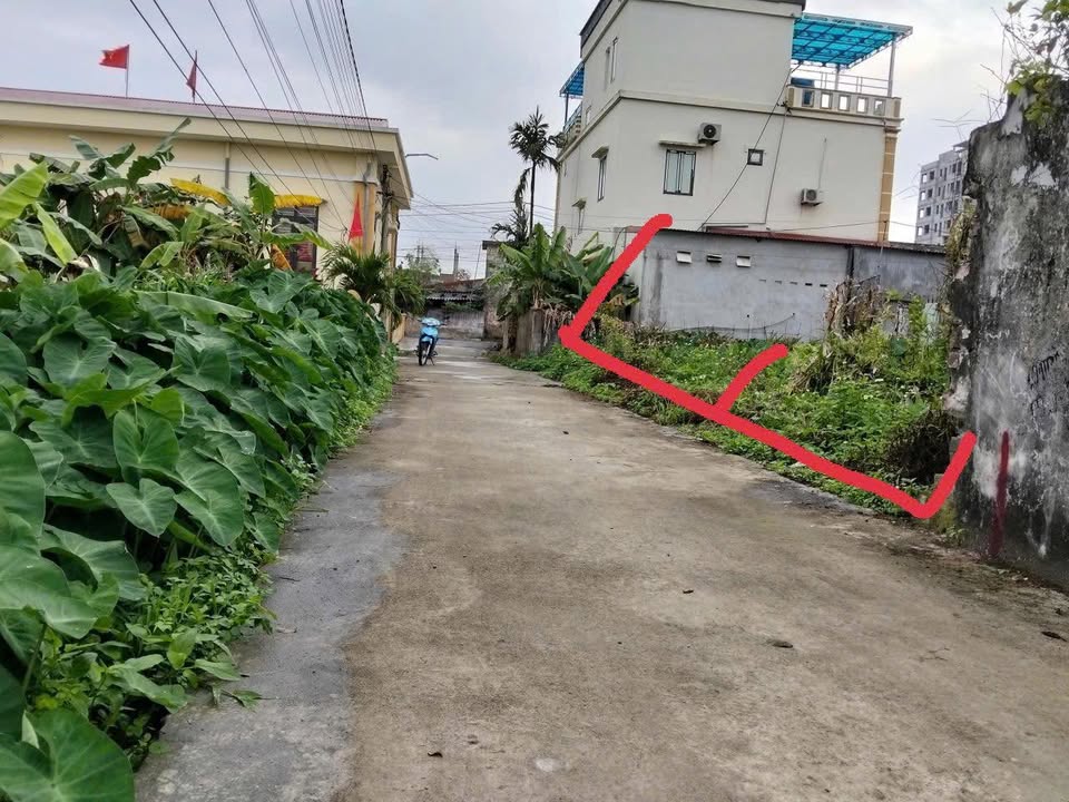 Bán Đất Nền Thái Thụy 67m² Sổ Đỏ Full Thổ Cư - Giá 1 Tỷ