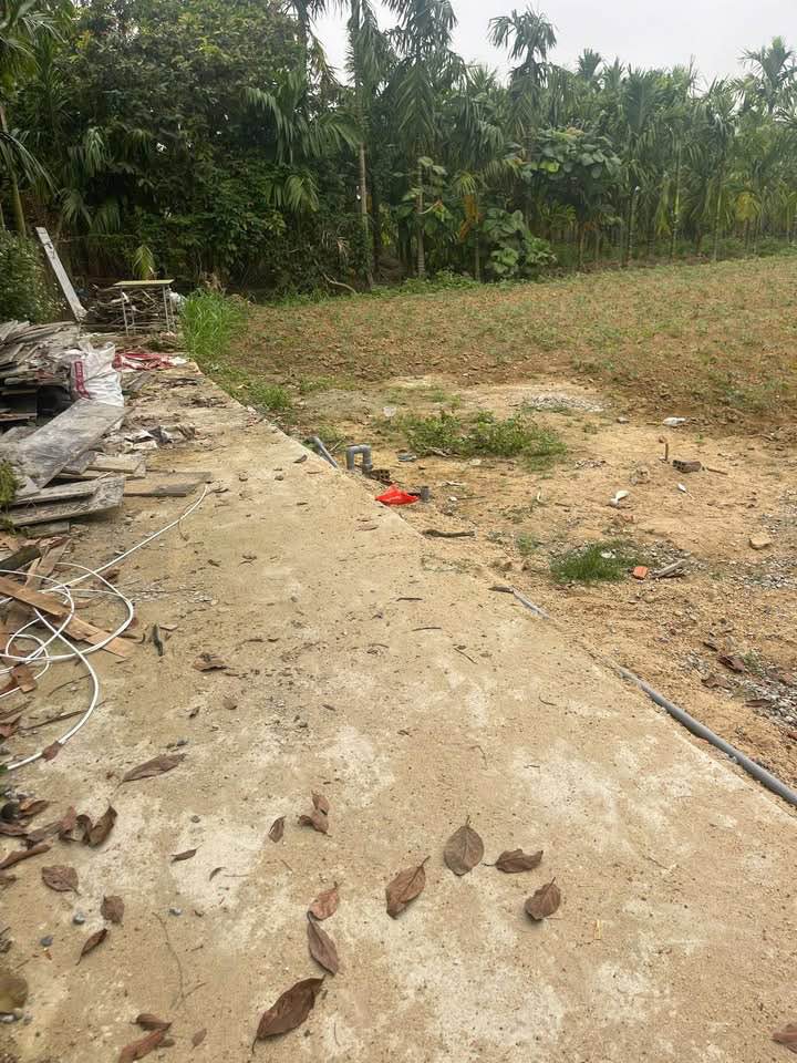 Đất nền Tịnh Hà, Sơn Tịnh 170m² - Tiềm năng tăng giá vượt trội!