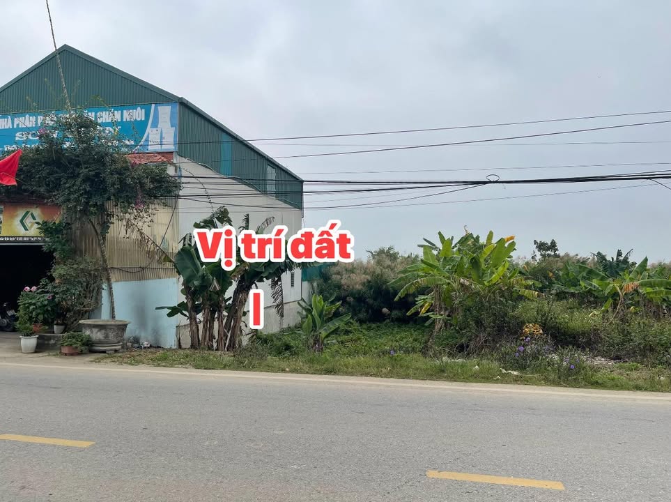 Đất nền Xuân Lộc, Hậu Lộc 200m² giá 2 tỷ - Sổ đỏ chính chủ!